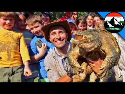 A kutatás érdekes állatokról Holden Arborétumában | Brave Wilderness Magyar | Videó a természetről