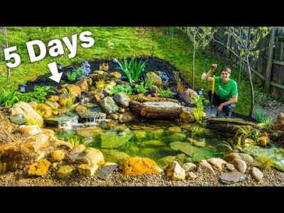 DIY Budget Ecosystem Pond – Solo Build in 5 Days by Hand