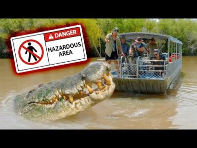 EGY FOLYÓ ÓRIÁSKROKODILOKKAL | Brave Wilderness Magyar | Ismeretterjesztő videók a vadonról