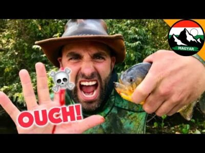 Emberi kéz a piranhák ellen 😱 Brave Wilderness Magyar | Extrém vadállat harapás