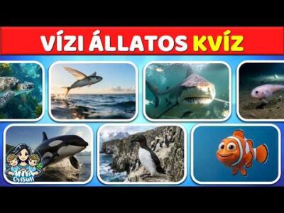 🌊🐠🦈Vízi állatos kvíz #gyerekeknek🦈🐠🌊#beszédfejlesztés #kvíz #állatok #állatokról #játékostanulás