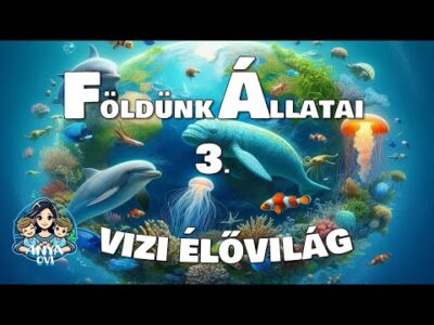 Földünk vízi élőlényei #gyerekeknek #ismeretterjesztő #oktatóvideó #beszédfejlesztés #állatok #kids