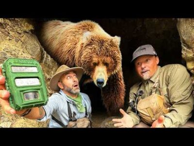 GRIZZLY MEDVÉT találtunk egy barlangban | Brave Wilderness Magyar | Videók a vadonról