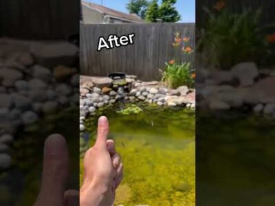 HOW DID WE DO ON THE DIY POND….?????