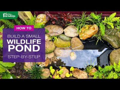 How to build a SMALL wildlife pond – Step-by-step guide