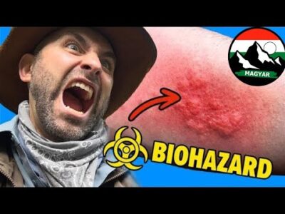 KÜLÖNLEGES TALÁLKOZÁS A BOLYGÓ LEGNEHEZEBB FÁJÁVAL | Brave Wilderness Magyar