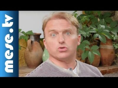 Lackfi János: Variációk egy témára – Csigabiga gyere ki! – Kaláka Versudvar 2015 | MESE TV