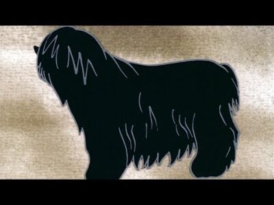 Magyar népmesék: A pulikutya