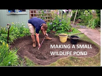Making a Small Wildlife Pond – Timelapse – 4K