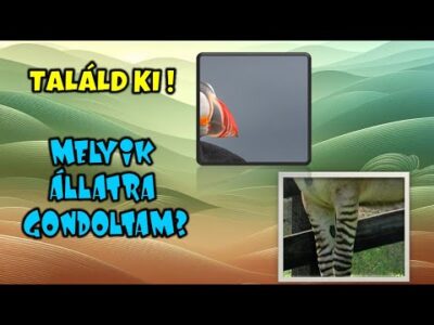 Melyik állatra gondoltam?#gyerekeknek #fejlesztőjáték #állatok #érdekesség #kvíz #kitalálós #hibrid