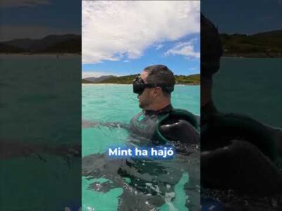 OLYAN VAGYOK A VÍZ ALATT  MINT EGY TORPEDÓ! | Brave Wilderness Magyar #shorts #természet