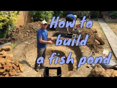 Thinking of Building a Fish Pond? Watch This First!